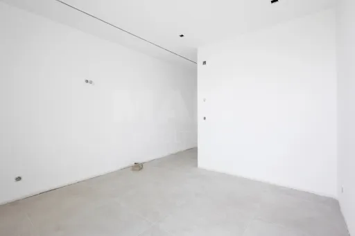 Moradia térrea T4 em terreno de 2 hectares no Carvalhal