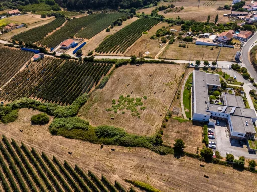 Terreno urbanizável- Zona Oeste Alcobaça