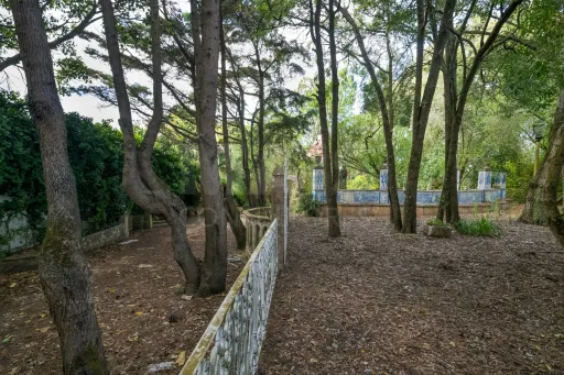 Terreno Urbano junto ao Parque Natural  em Sintra