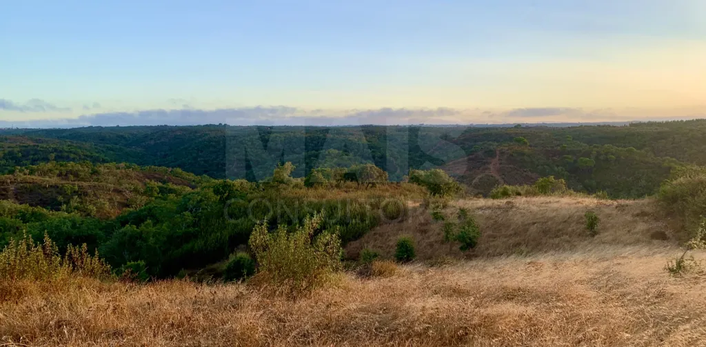 Herdade com 52,45 hectares em São Bartolomeu da Serra, Santiago do Cacém