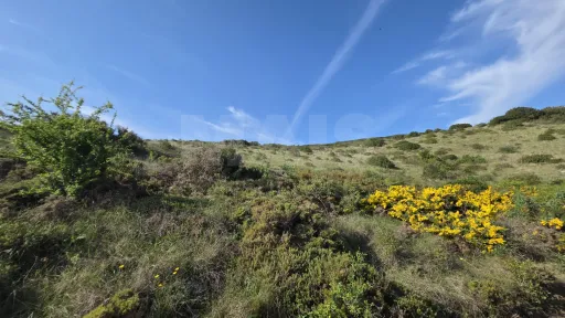 Rustic land with open views
