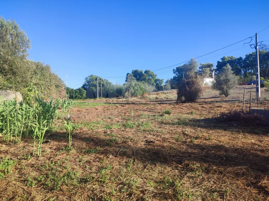 Quinta com moradia para recuperar na zona de Abrantes