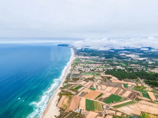 🏝️ Terreno Rústico em  Ferrel (Peniche)