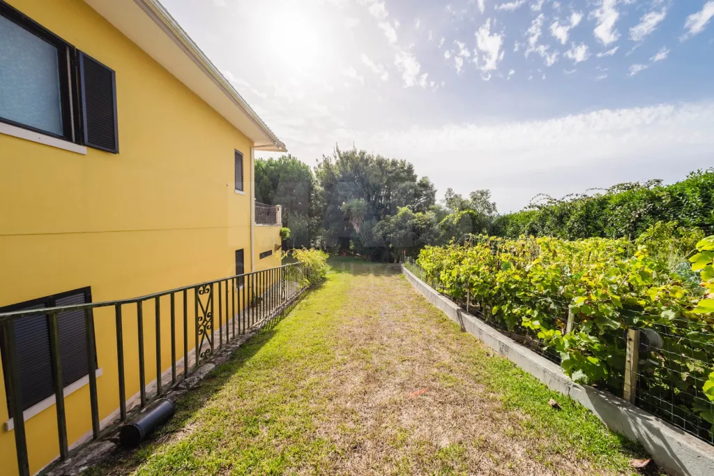 Propriedade única, a apenas 2 km de Alcobaça, com mais de 30.000 m² de terreno