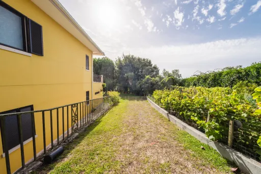 Propriedade única, a apenas 2 km de Alcobaça, com mais de 30.000 m² de terreno