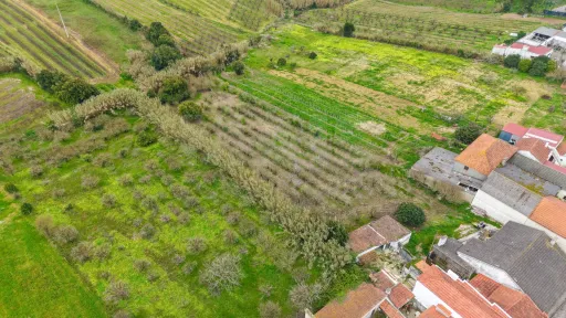 Terreno no centro da Usseira