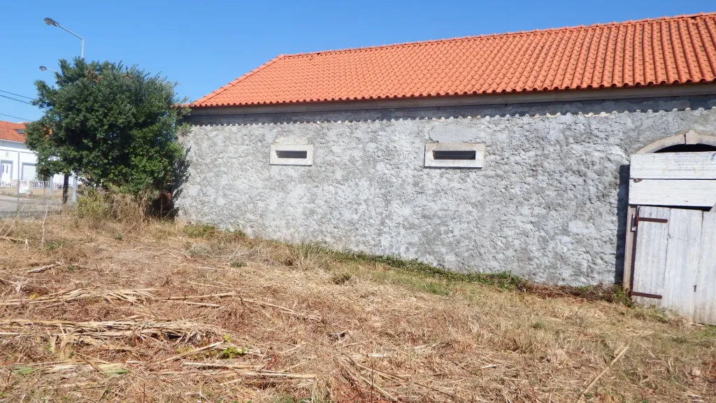 Quinta com Adega | 37.500 m² | Atouguia da Baleia, Peniche