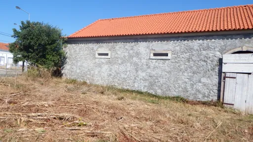 Quinta com Adega | 37.500 m² | Atouguia da Baleia, Peniche