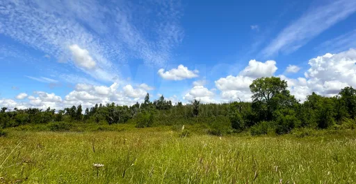 Herdade com 11,6 hectares em São Bartolomeu da Serra, Santiago do Cacém