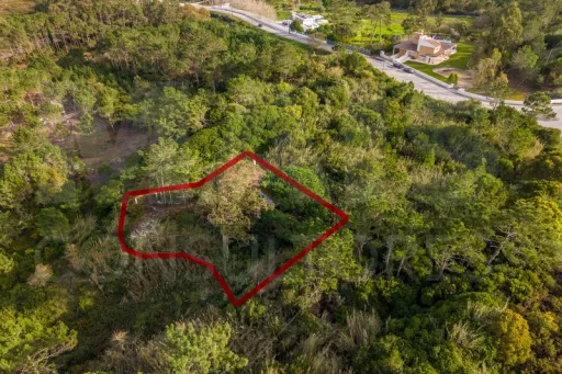 Refúgio Exclusivo na Foz do Arelho: Uma Oportunidade Única de Preservação e Natureza