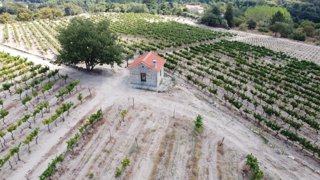 Herdade / Quinta com 25–27 ha, vinha em produção, olival e piscina – Serra da Estrela, Gouveia
