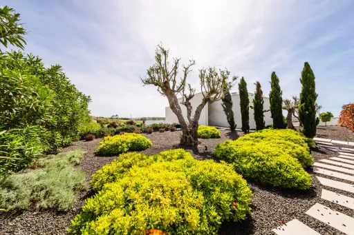 Moradia Contemporânea de Luxo com Vista Barragem, Piscina e 3.000m² Urbanos | Peniche
