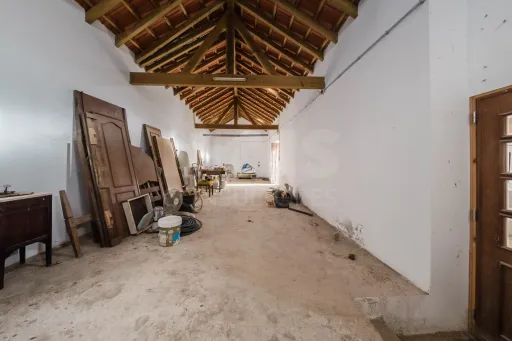 Propriedade única, a apenas 2 km de Alcobaça, com mais de 30.000 m² de terreno