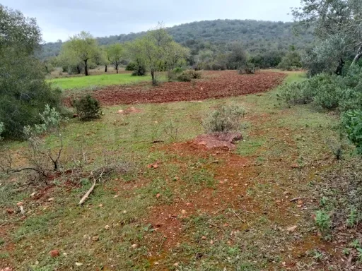 Lote de Terreno Rustico