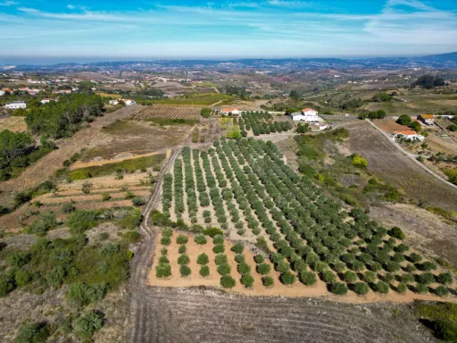 Farm in Carnota