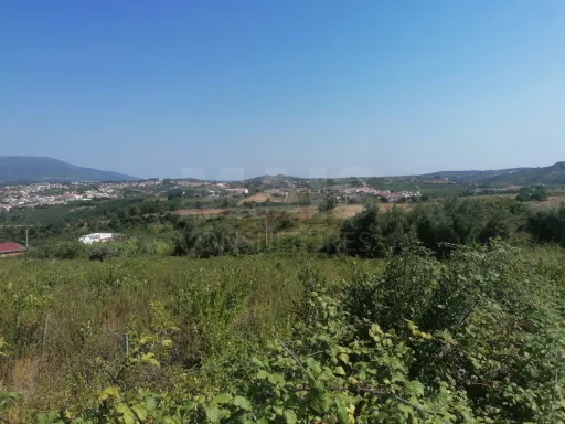 Building land in Alenquer