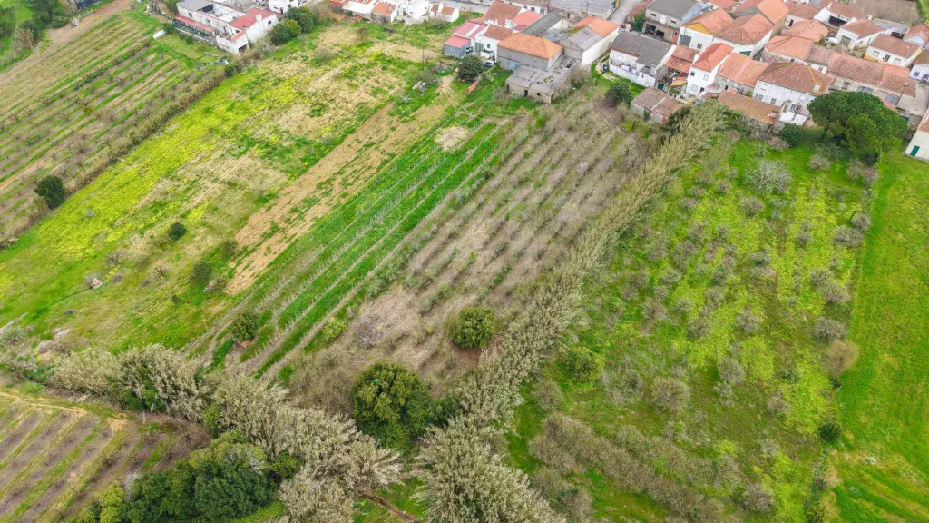 Terreno no centro da Usseira