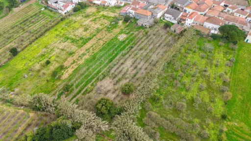 Terreno no centro da Usseira