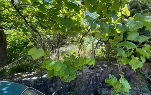 Terreno rústico próximo da praia de Vila Praia de Âncora