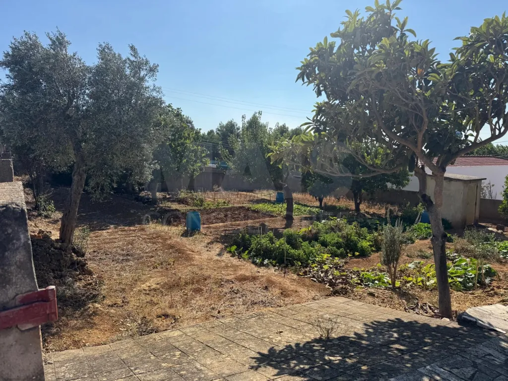 Terreno em Parede Caparide