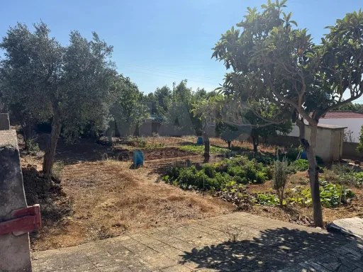 Terreno em Parede Caparide