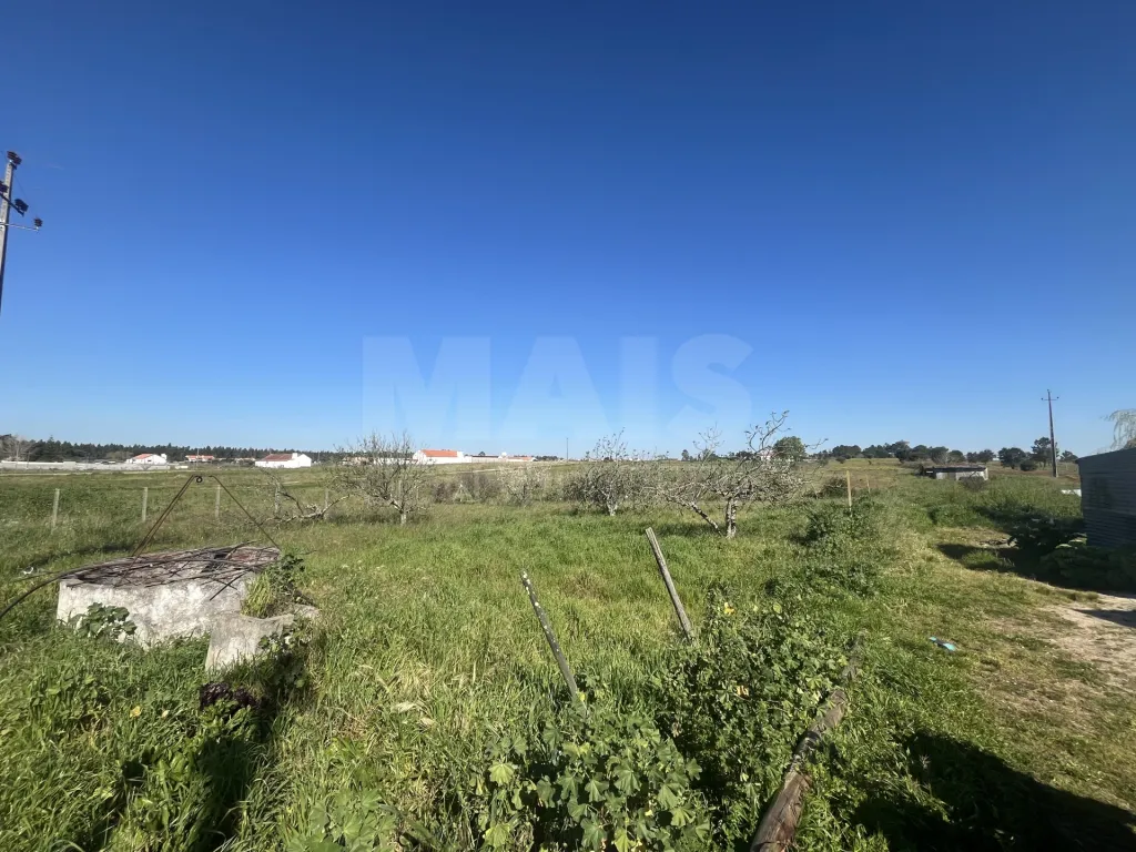 Land 12000m2 in Foros da Charneca