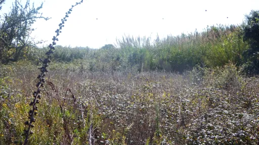 Quinta com Adega | 37.500 m² | Atouguia da Baleia, Peniche