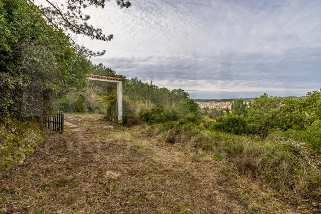 Refúgio Exclusivo na Foz do Arelho: Uma Oportunidade Única de Preservação e Natureza