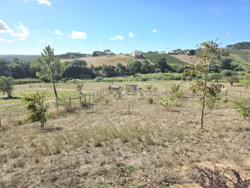 Moradia T4 térrea contemporânea com anexo T2 independente | Lote com 10.400 m² | Alvorninha