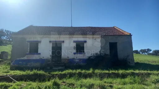 Herdade de 30 hectares em Cercal do Alentejo, Santiago do Cacém, Setúbal