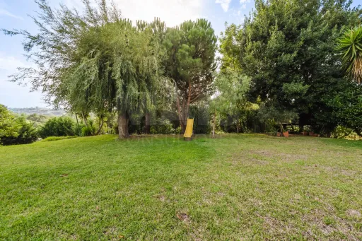 Propriedade única, a apenas 2 km de Alcobaça, com mais de 30.000 m² de terreno