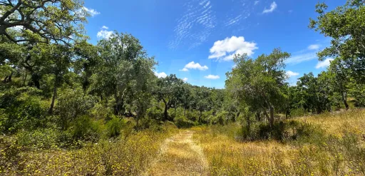 Herdade com 11,6 hectares em São Bartolomeu da Serra, Santiago do Cacém