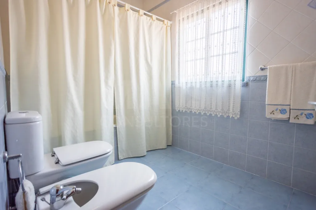 Moradia T3 isolada com Garagem na Branca
