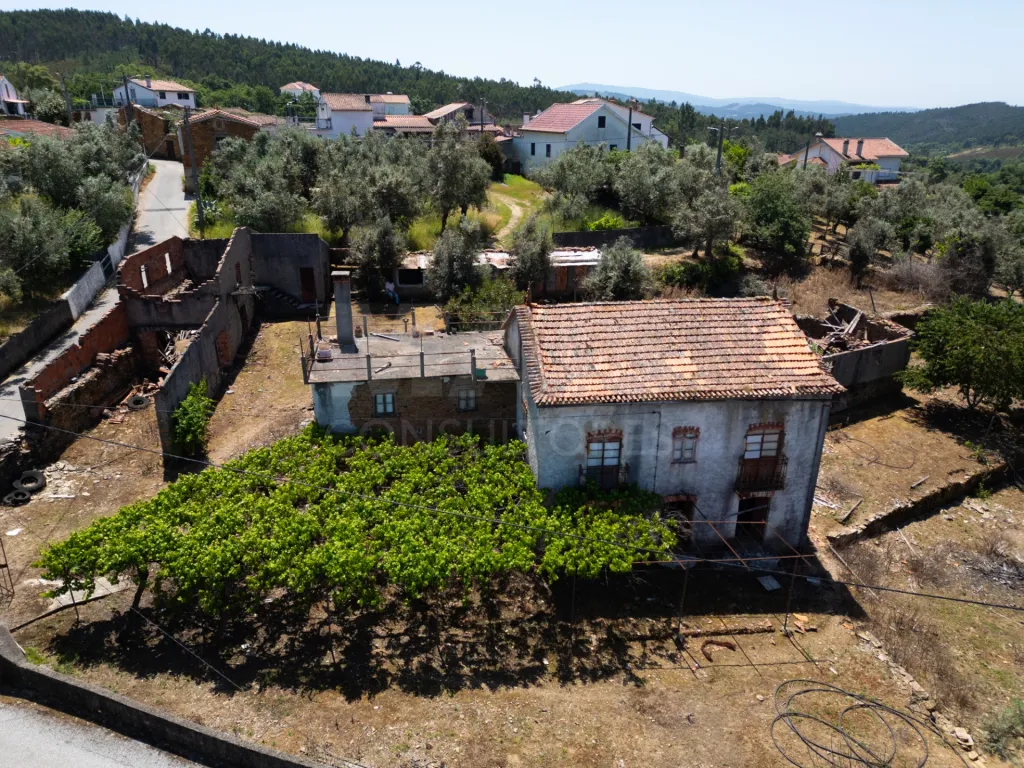 PROPRIEDADE DE CARÁTER NA N2 | 400 m² DE CONSTRUÇÃO, OLIVAL E POTENCIAL TURÍSTICO