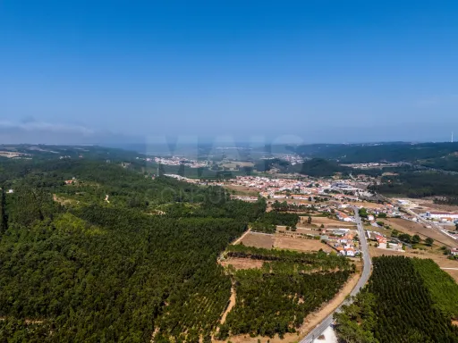 7950m2 plot of land near the beaches of Nazaré and São Martinho do Porto