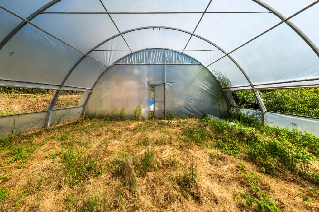 Terreno Agrícola na Fanadia | 16.100 m² de Potencial e Infraestruturas Preparadas