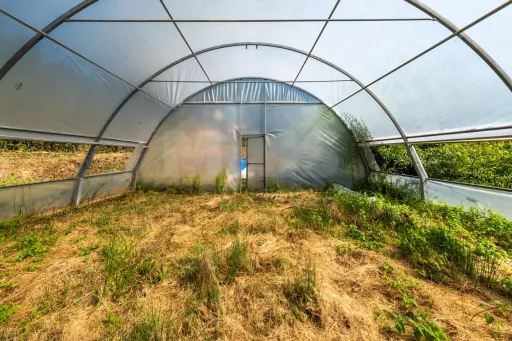 Terreno Agrícola na Fanadia | 16.100 m² de Potencial e Infraestruturas Preparadas