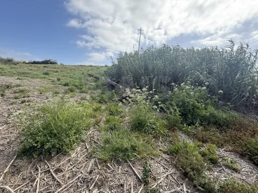 Terreno Rústico Exclusivo com Vista Mar | Natureza e Lifestyle Próximo das Praias de Peniche