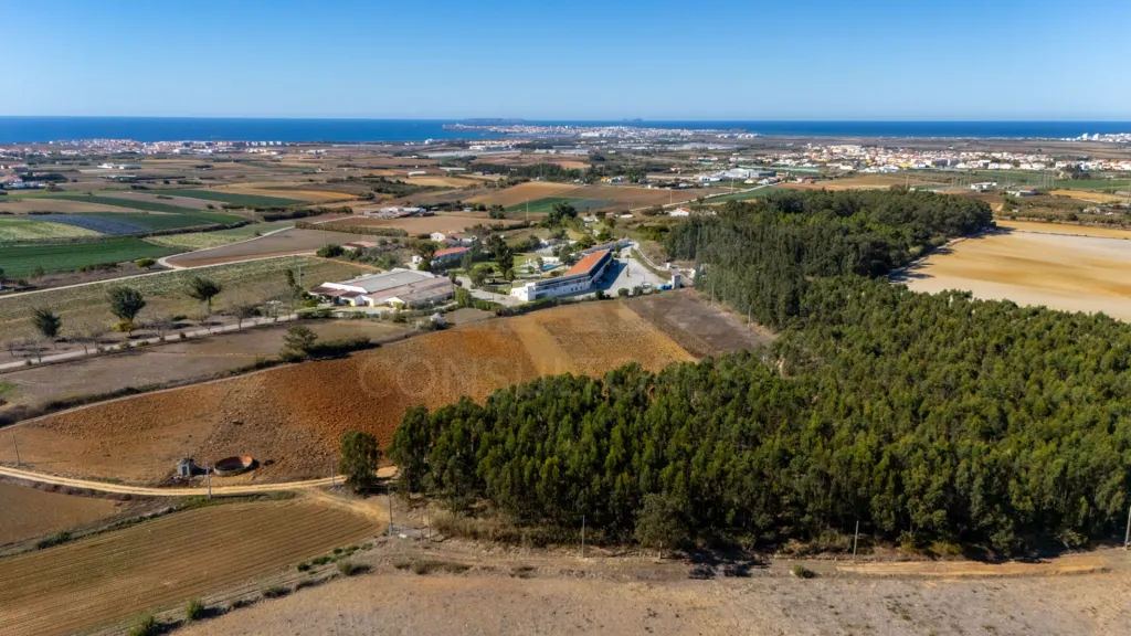 Parcela de terreno rústico de 2.350m2 em Atouguia da Baleia