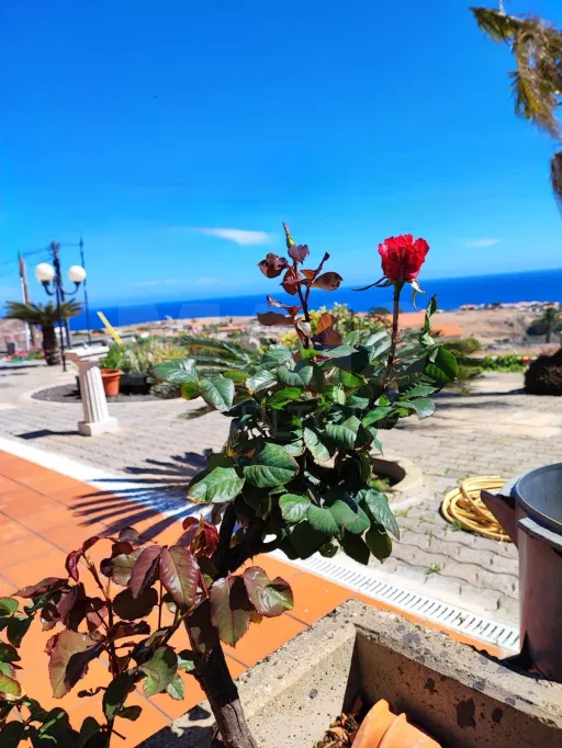 Moradia T3 isolada com Vista Mar