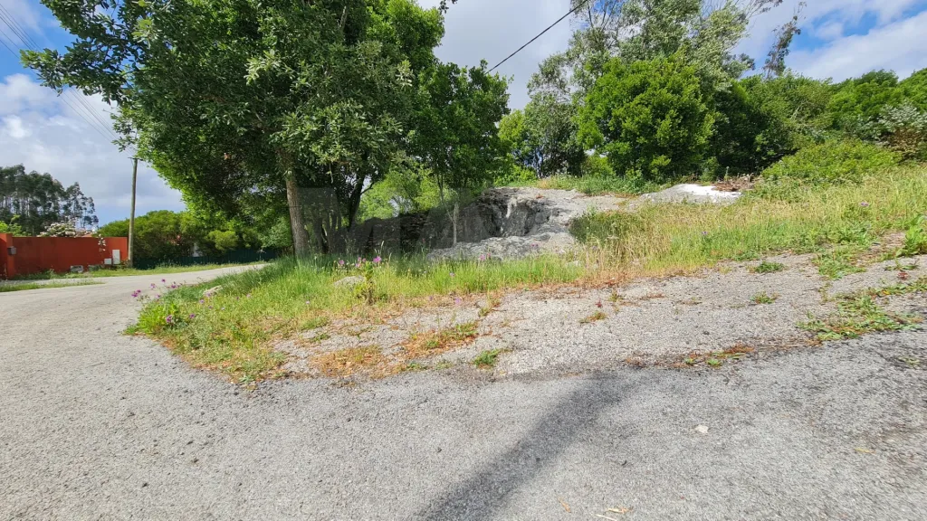 Terreno com 2 280m² em Cezaredas – Oportunidade Única!