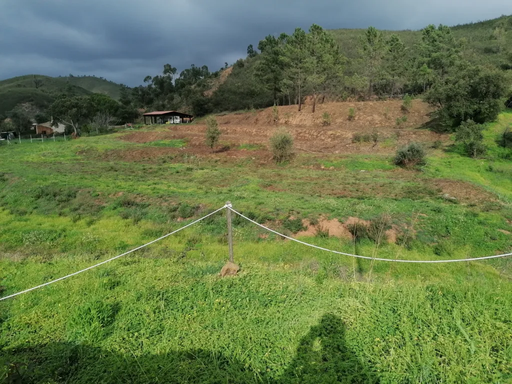Terreno rústico com horta e serra, medronheiros e sobreiros