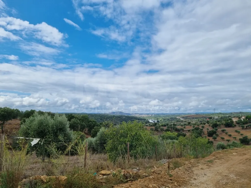 QUINTA, em  Casas Novas  - MOURISCAS -ABRANTES
