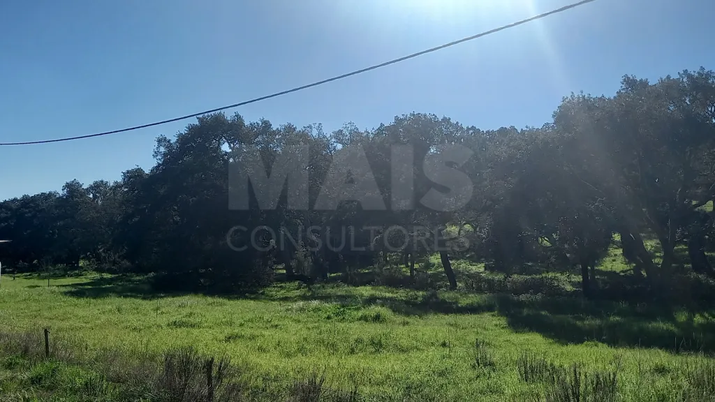 Herdade de 30 hectares em Cercal do Alentejo, Santiago do Cacém, Setúbal