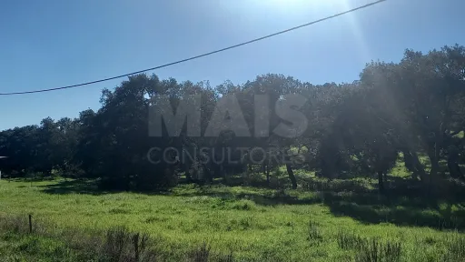 Herdade de 30 hectares em Cercal do Alentejo, Santiago do Cacém, Setúbal