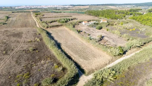 Terreno Rústico com 3.600 m² em Atouguia da Baleia