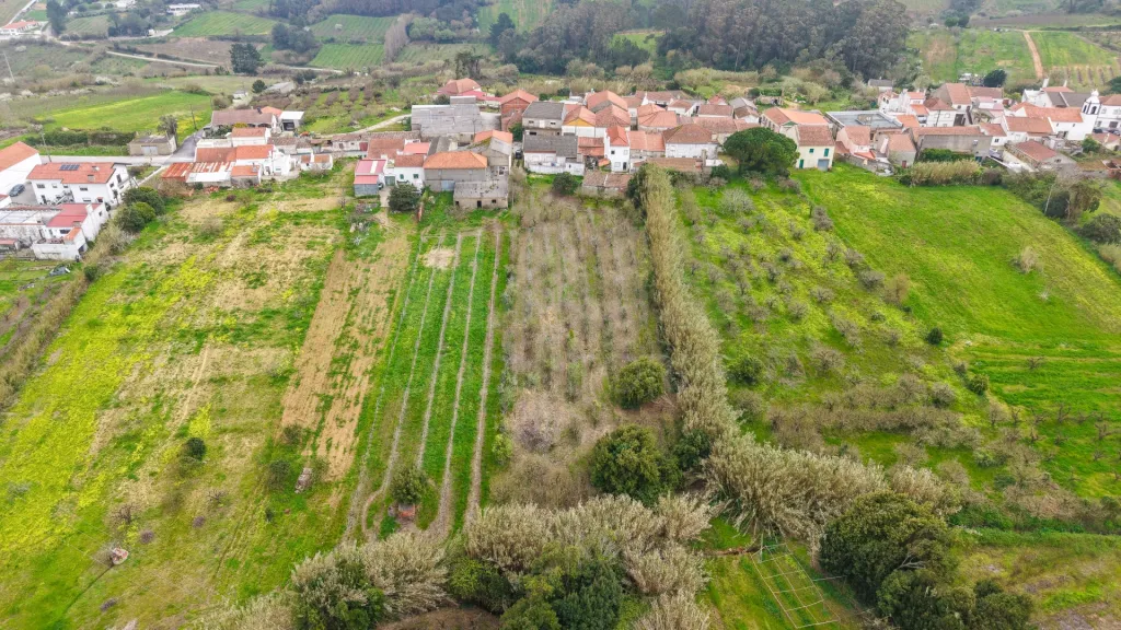 Terreno no centro da Usseira