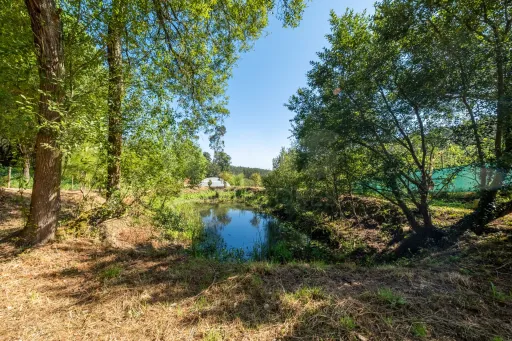 Terreno Agrícola na Fanadia | 16.100 m² de Potencial e Infraestruturas Preparadas