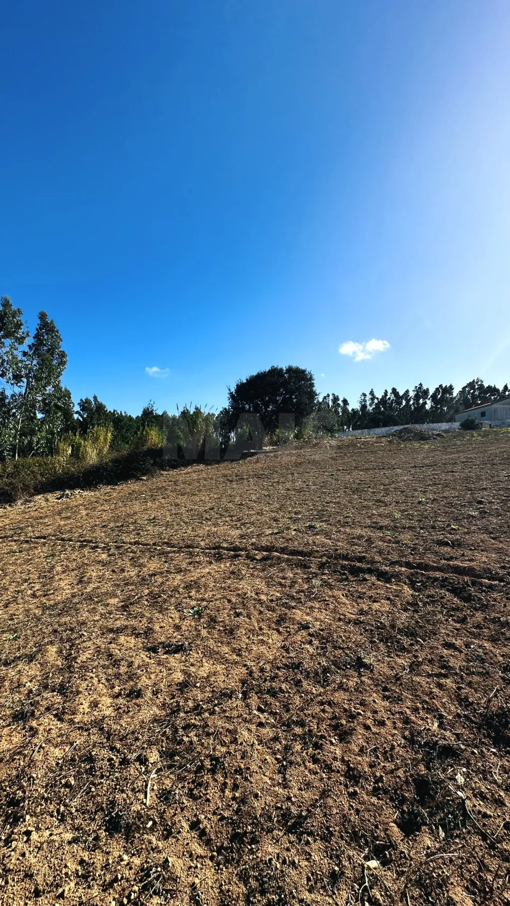 Terreno com 6.042 m² | Potencial de Construção | Santa Bárbara, Lourinhã