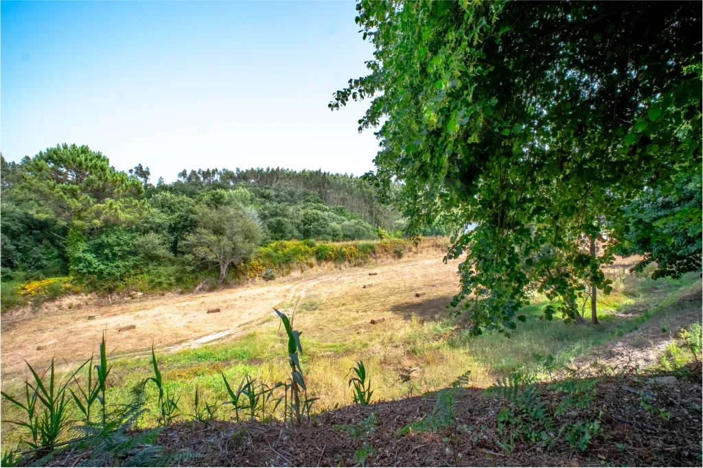 Quinta com mais de 23.000 m², piscina de água salgada e potencial de construção